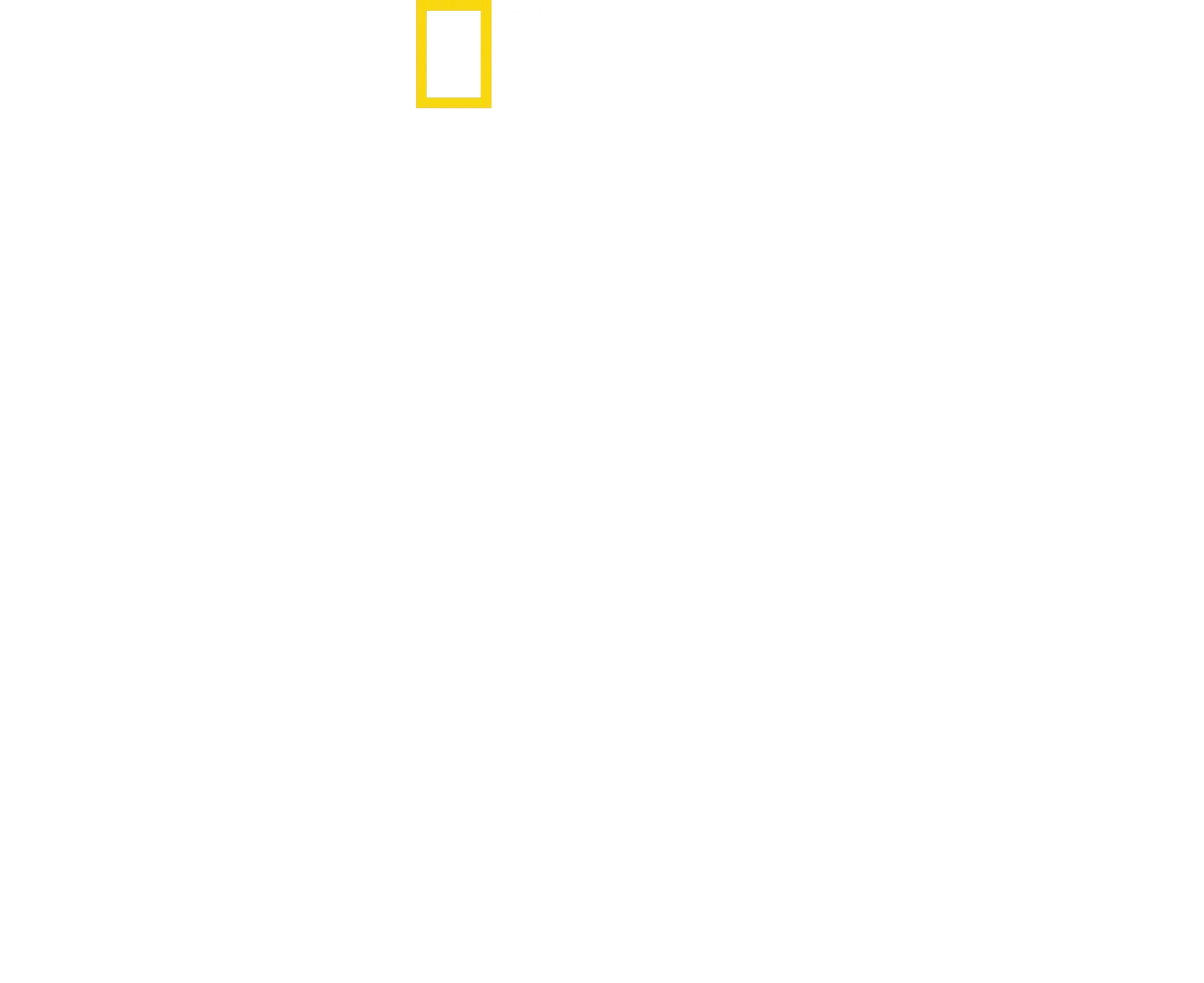Héroes contra Hitler
