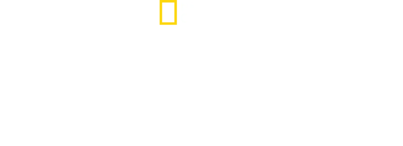世界大自然紀行：イエローストーン