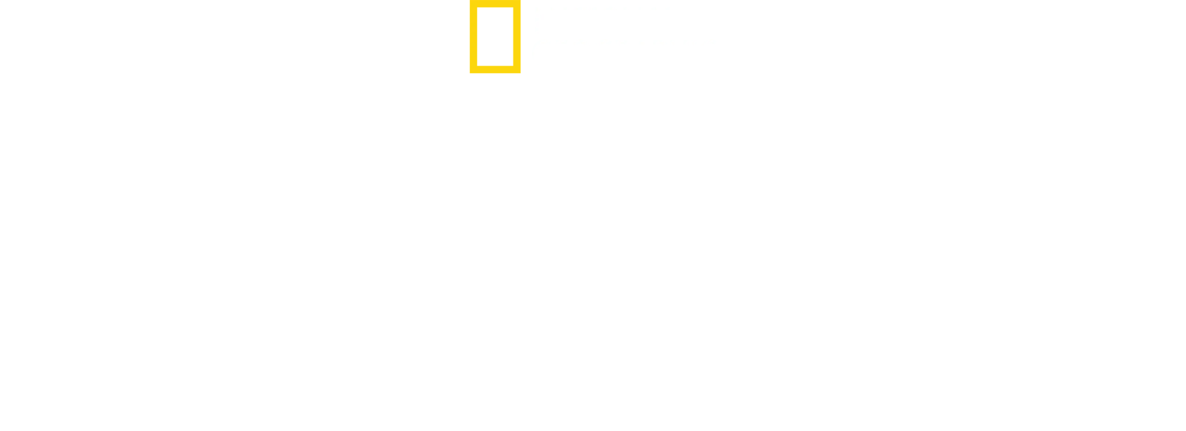 世界大自然紀行：イエローストーン