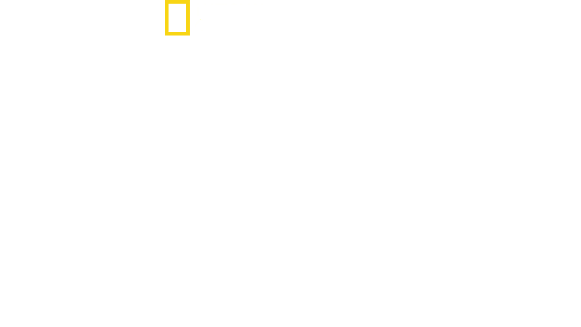 La dernière bataille d'Hitler