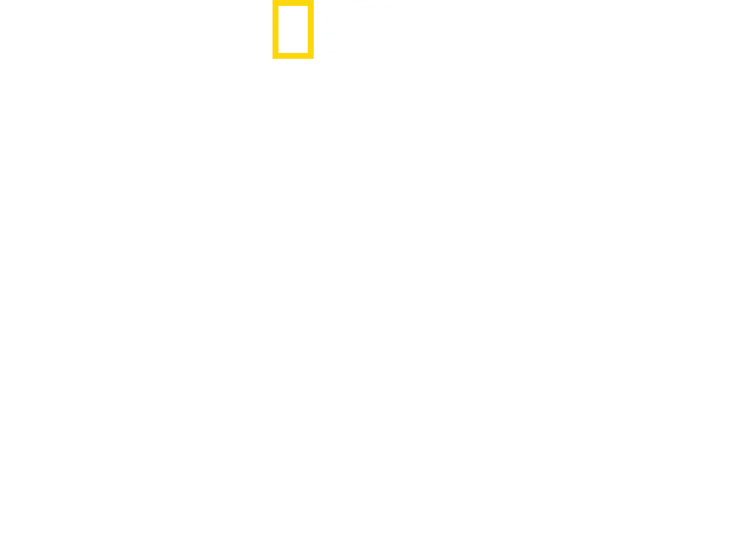 La dernière bataille d'Hitler