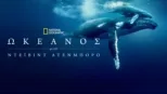 thumbnail - Ωκεανός με τον Ντέιβιντ Ατένμπορα