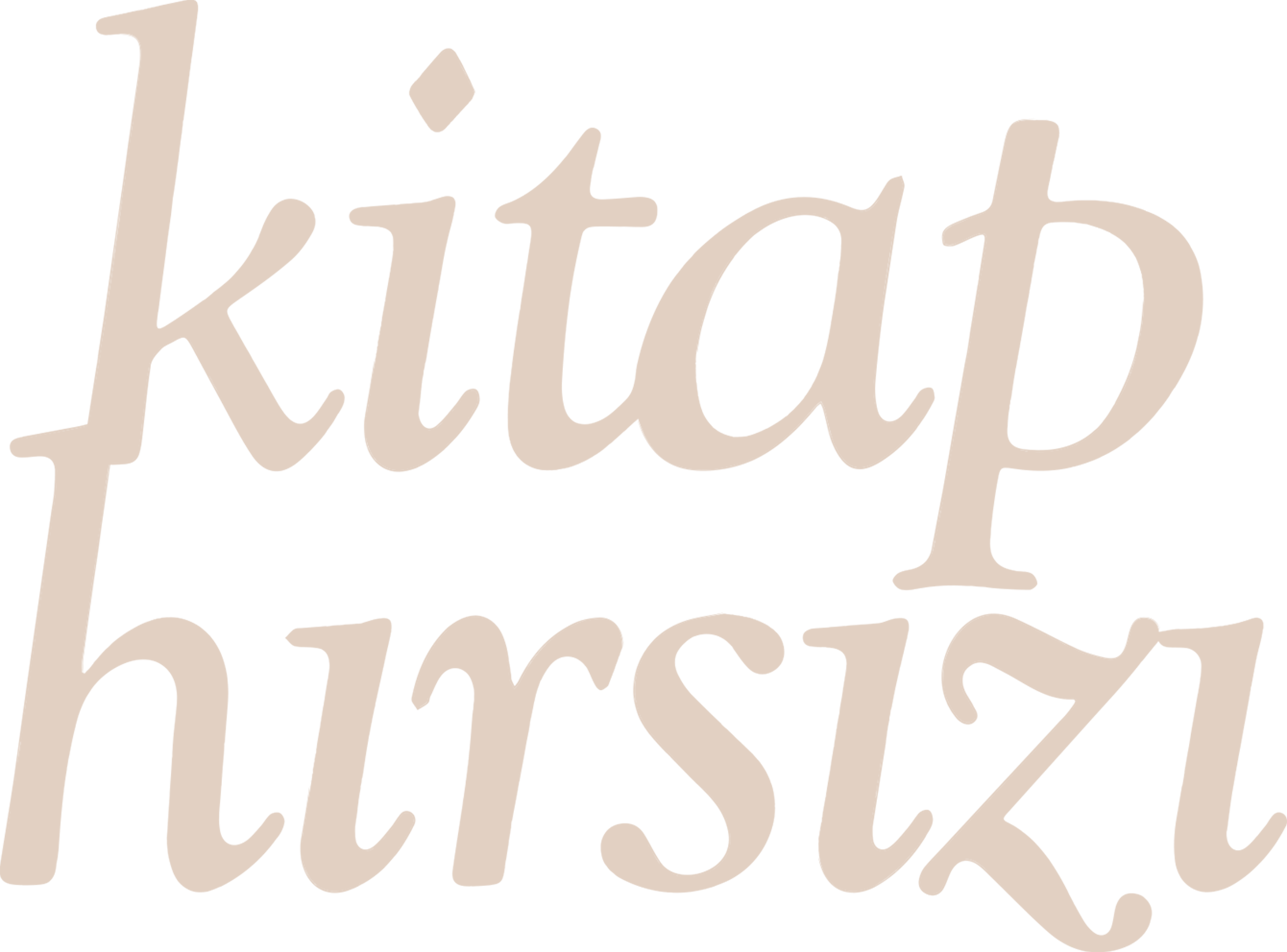 Kitap Hırsızı