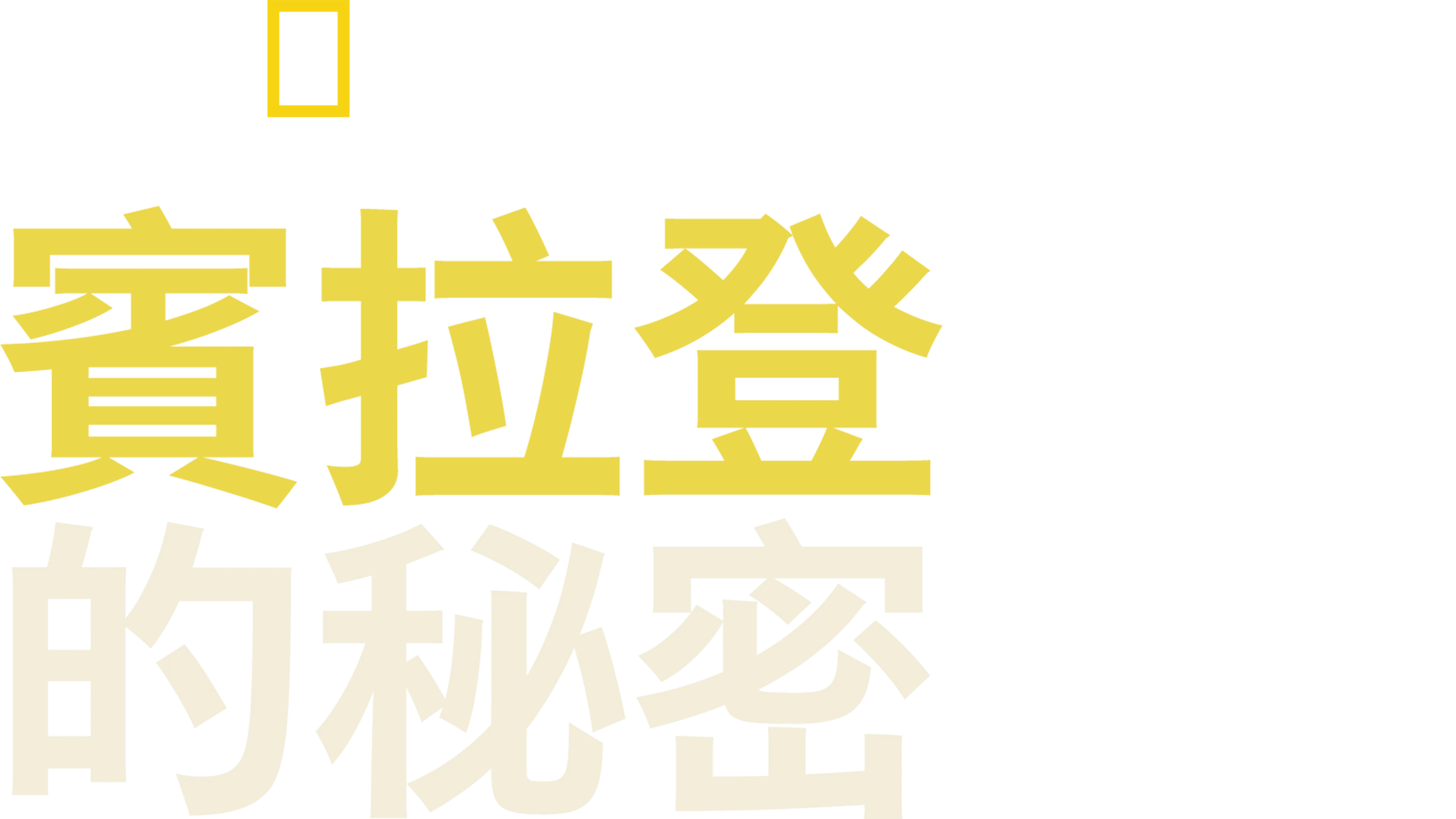 賓拉登的秘密
