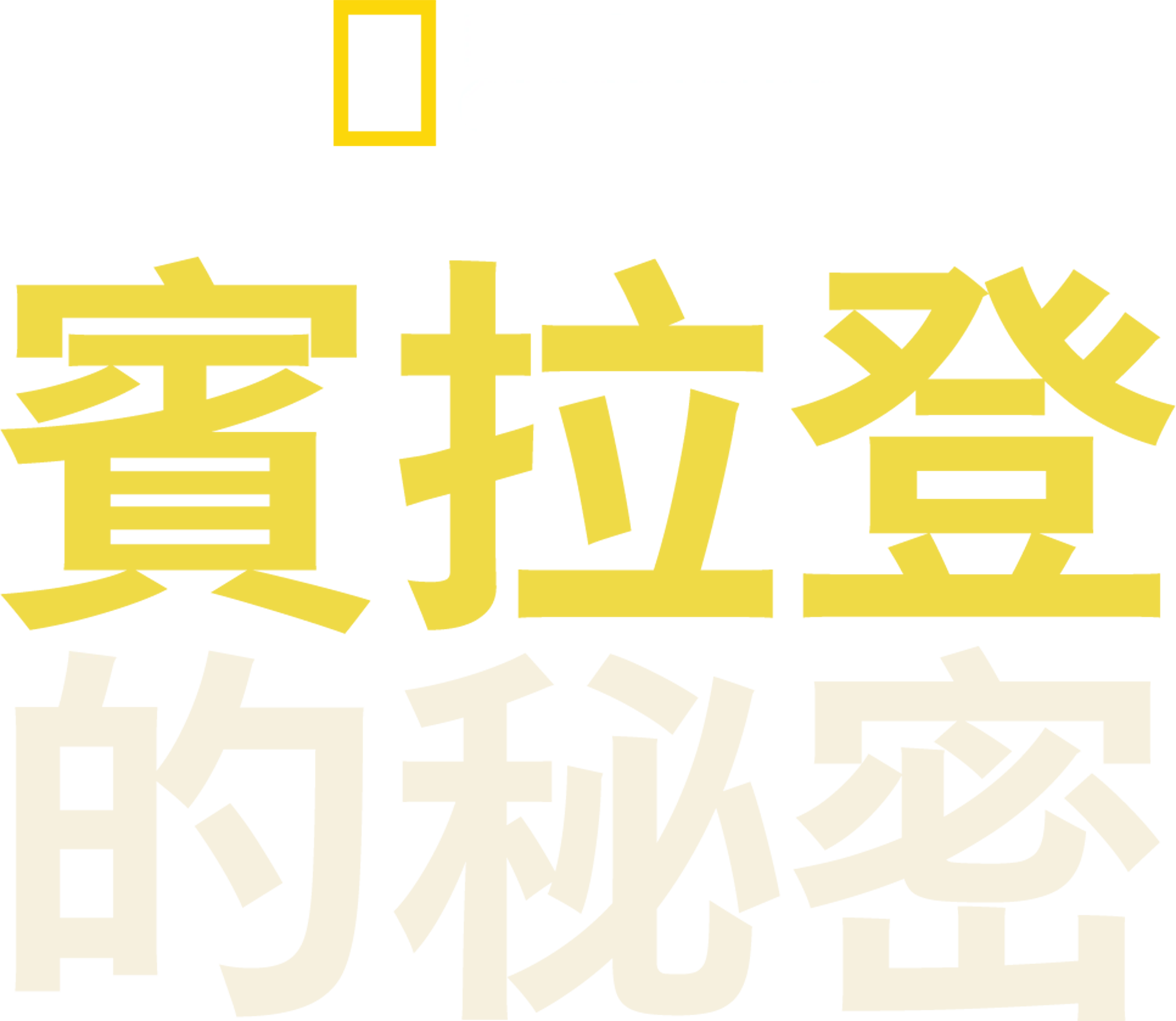 賓拉登的秘密