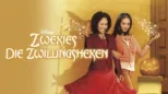 thumbnail - Zwexies − Die Zwillingshexen