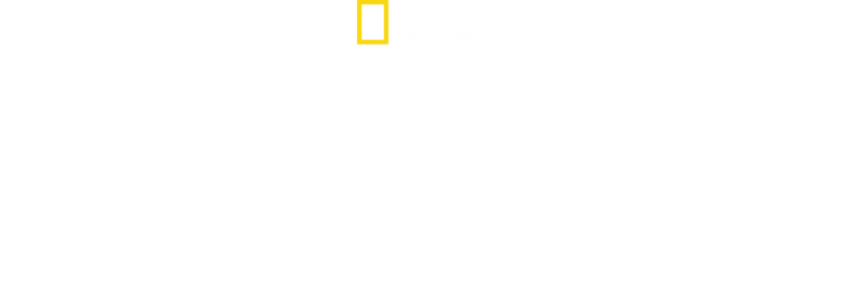Kadonneet kaupungit: Vedenpaisumusmyytit