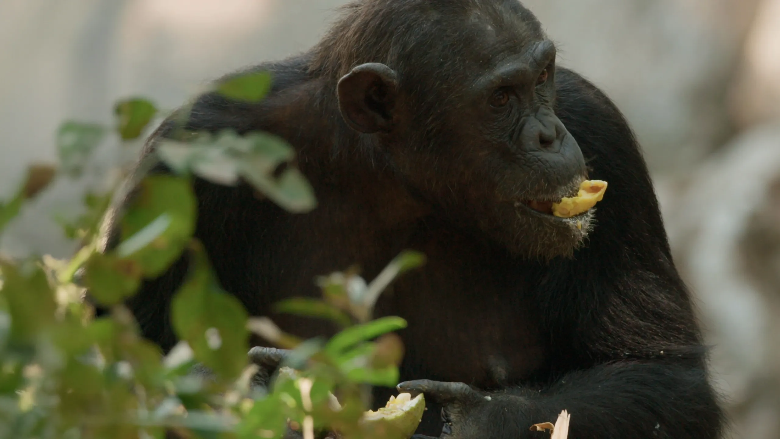 LAC TANGANYIKA : Le cœur bleu de l’Afrique