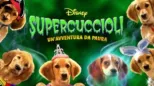 thumbnail - Supercuccioli - Un’Avventura da Paura