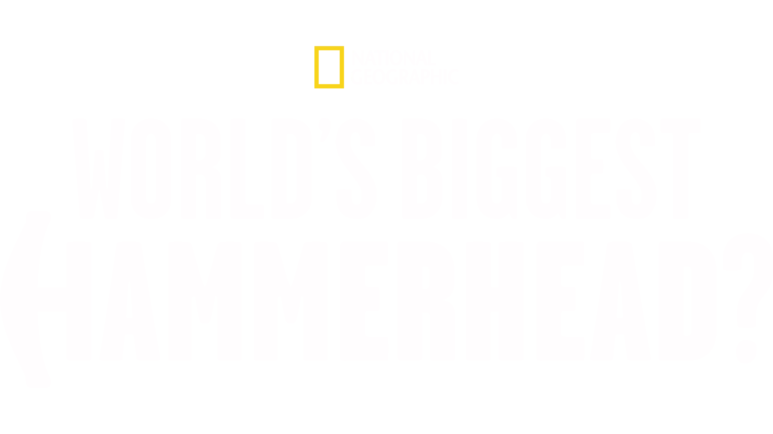 Der größte Hammerhai der Welt?