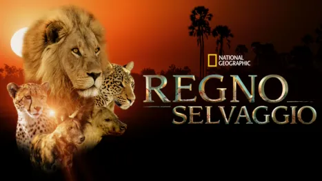 thumbnail - Regno selvaggio