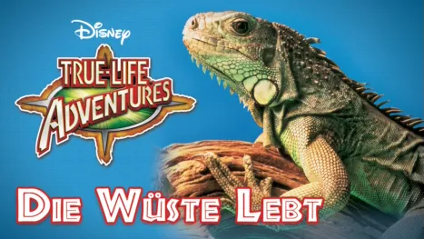 thumbnail - Die Wüste lebt