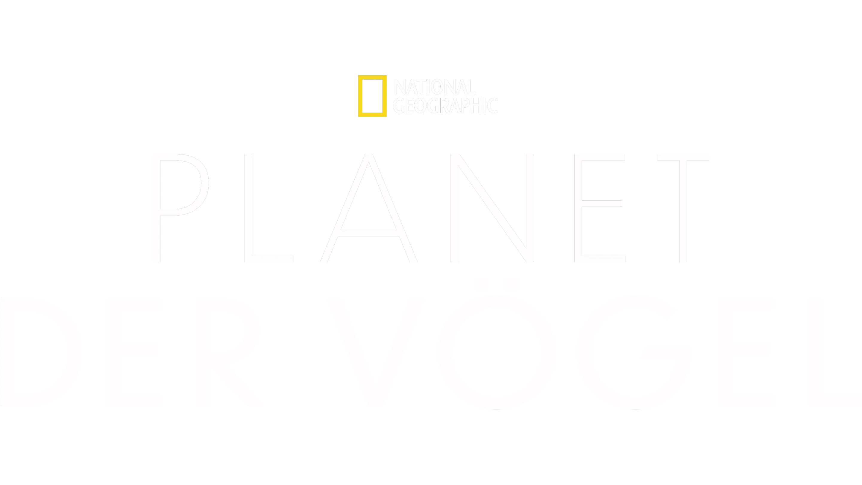 Planet der Vögel