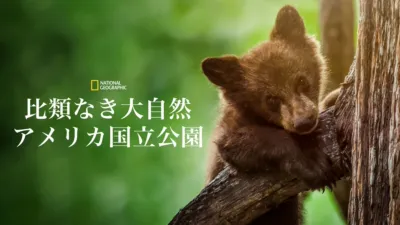 比類なき大自然：アメリカ国立公園