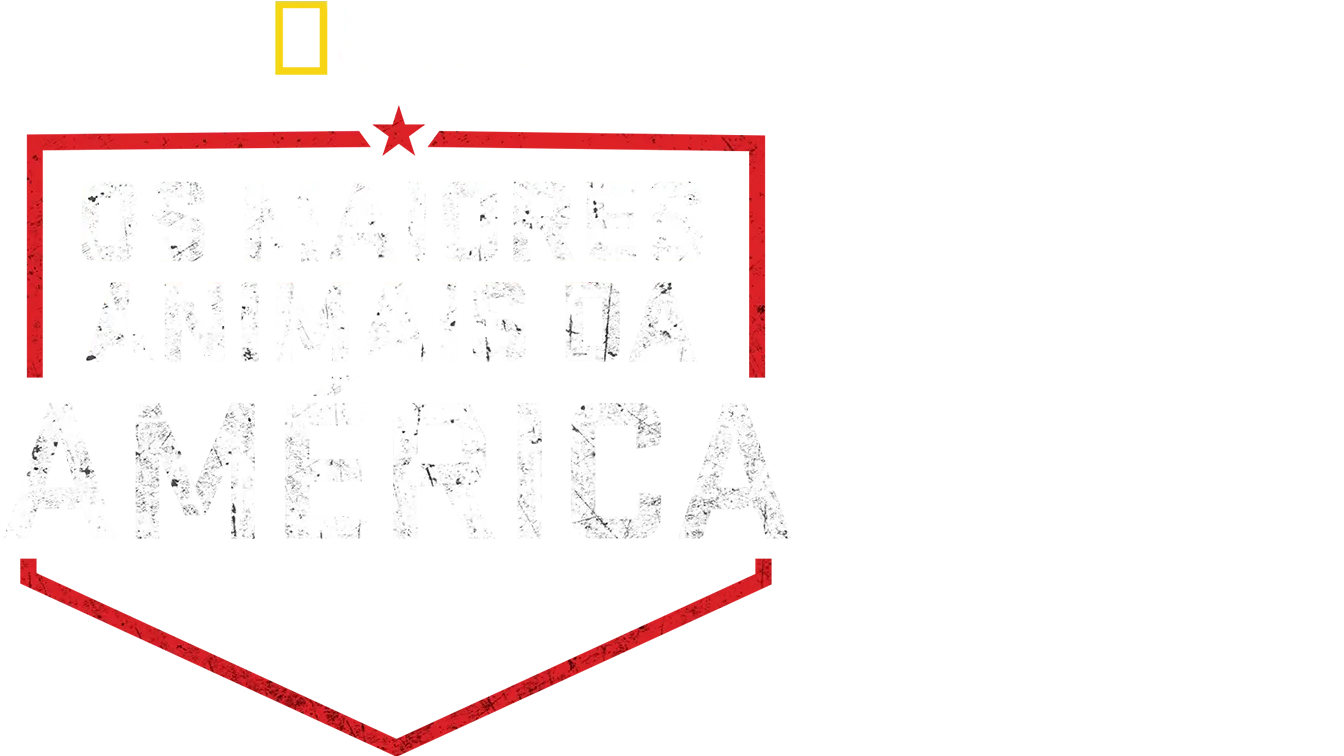 Os Maiores Animais da América