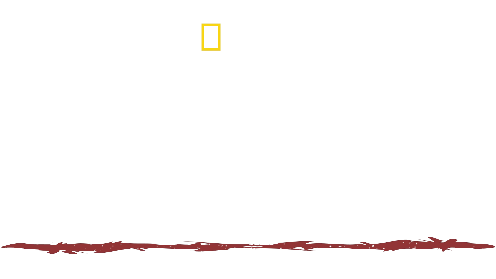 Primal Survivor