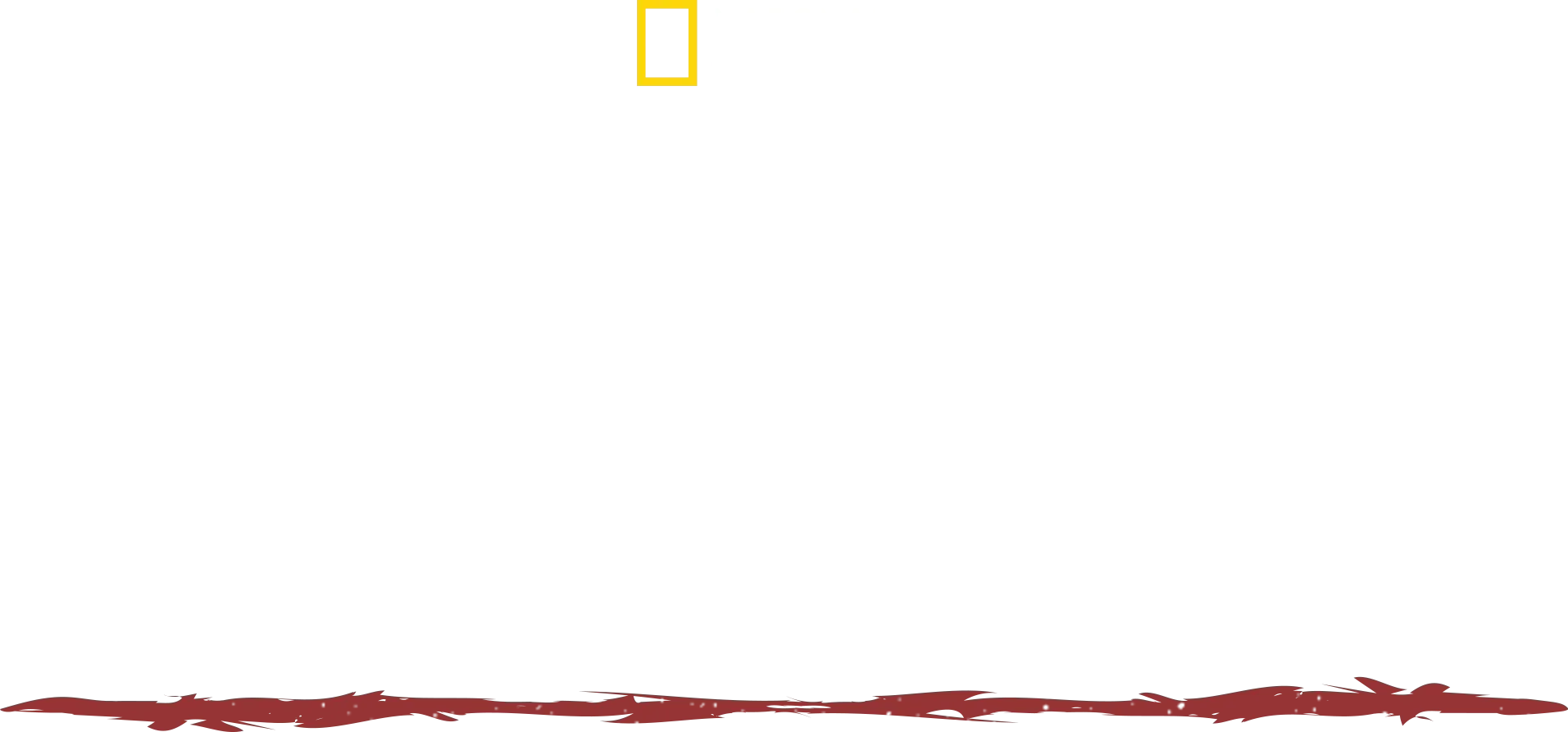 Primal Survivor