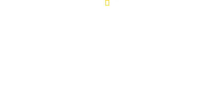 침팬지의 어머니, 제인 구달