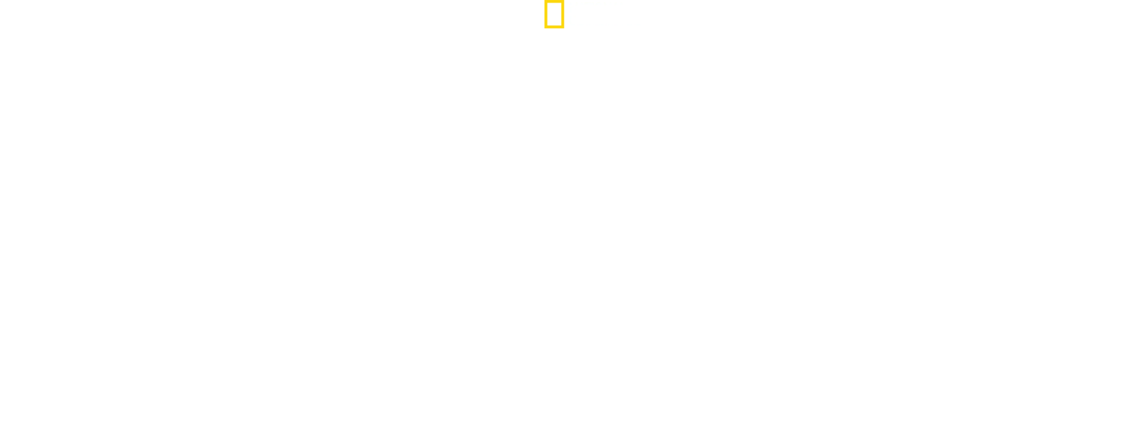 침팬지의 어머니, 제인 구달