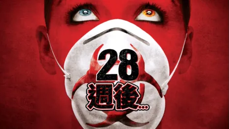 thumbnail - 28週後…