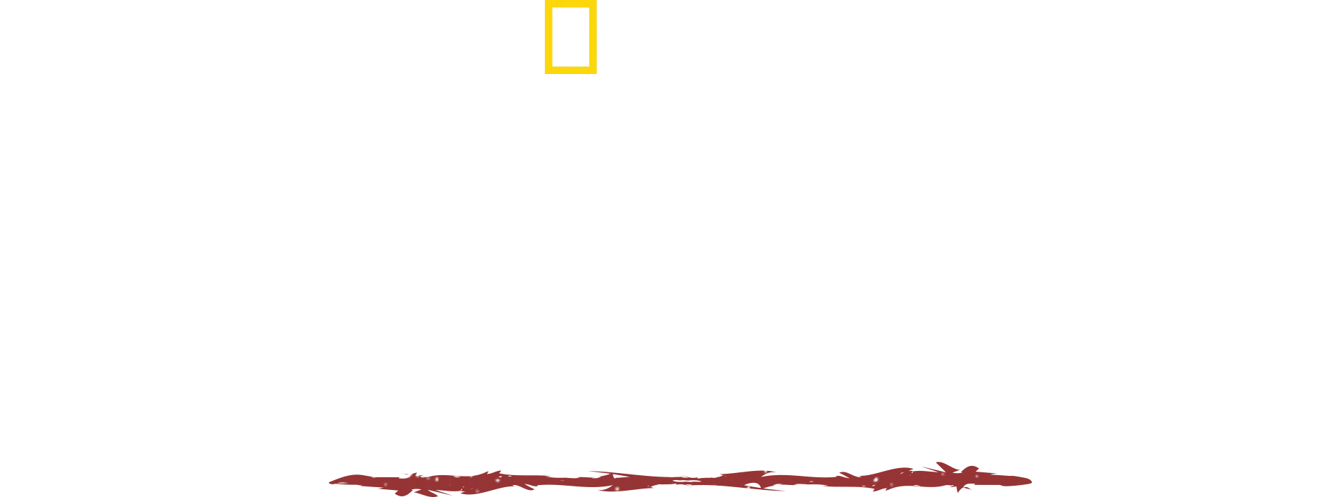Villmarkens mann