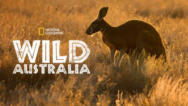 thumbnail - Wild Australia