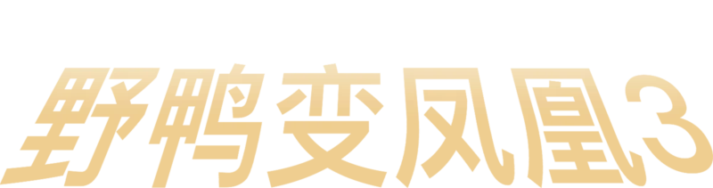 野鸭变凤凰3