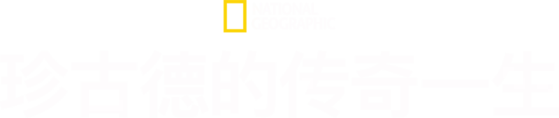 珍古德的传奇一生