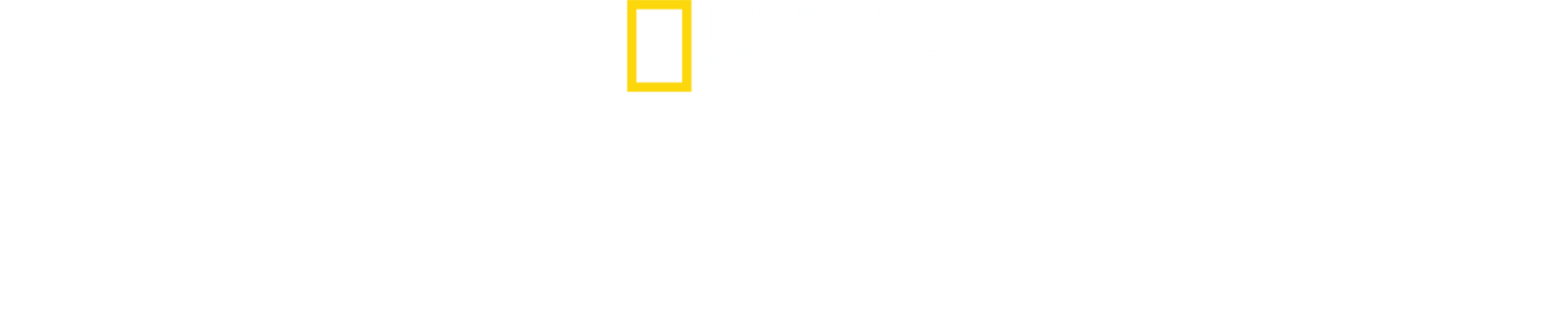 珍古德的传奇一生