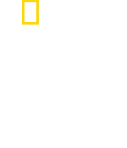 鯊魚幻色術