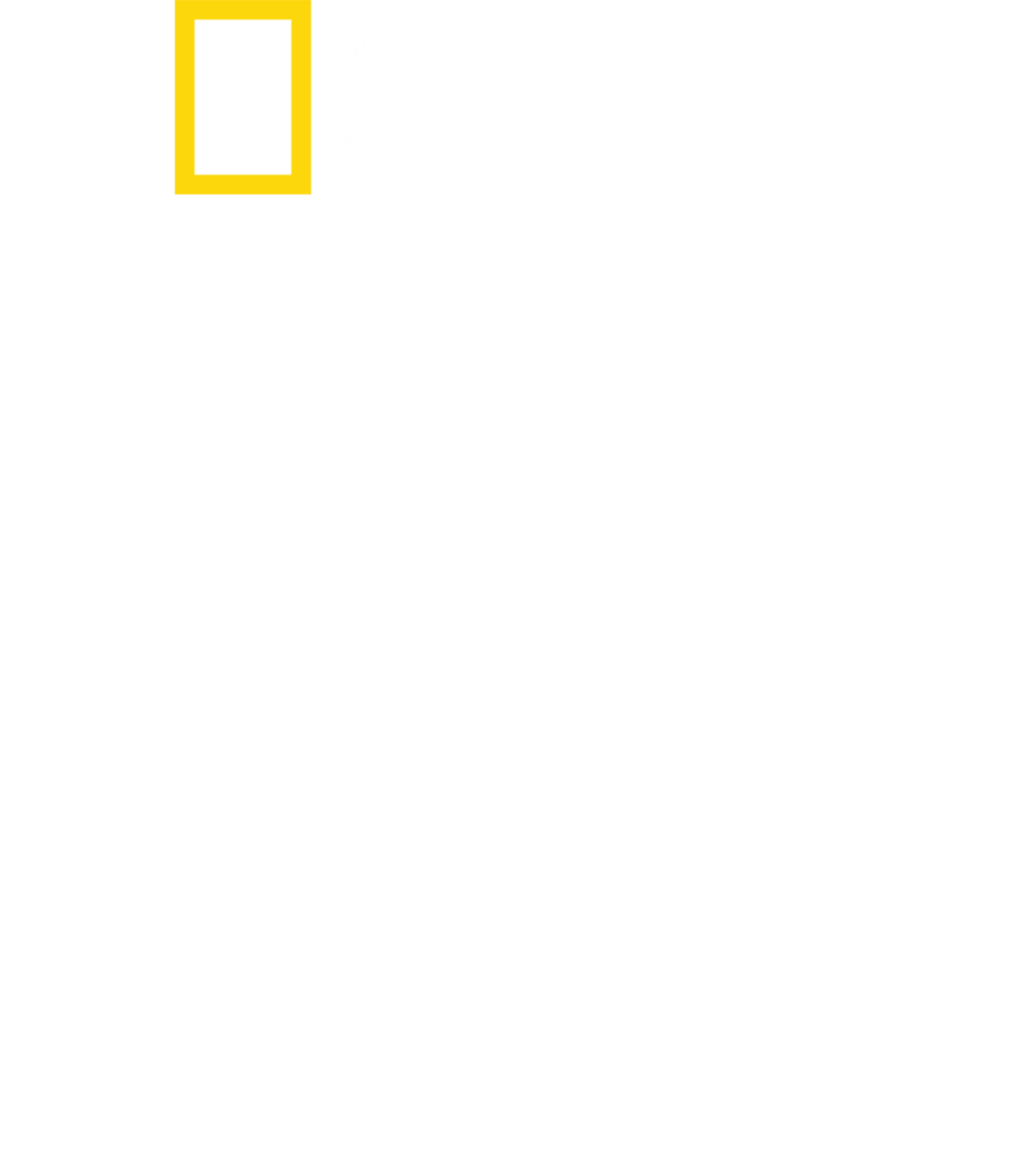 鯊魚幻色術