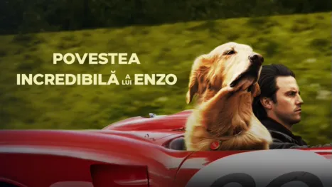 thumbnail - Povestea incredibilă a lui Enzo