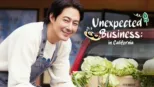 Unexpected Business