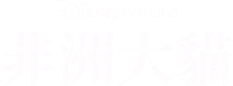 非洲大貓
