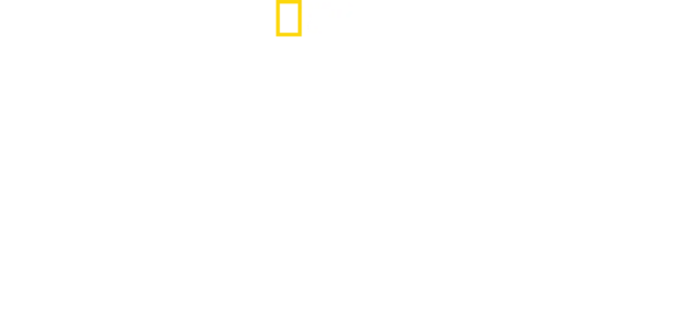 Hitlers siste kamp