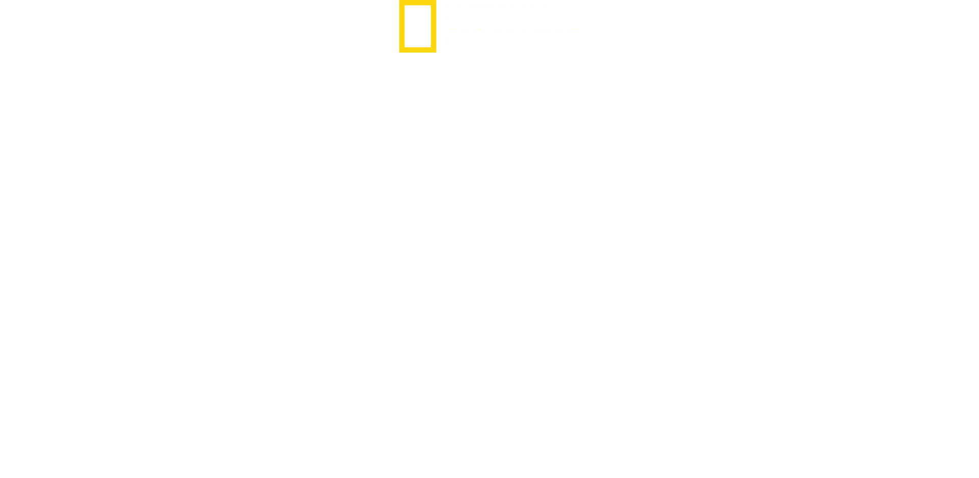 Hitlers siste kamp