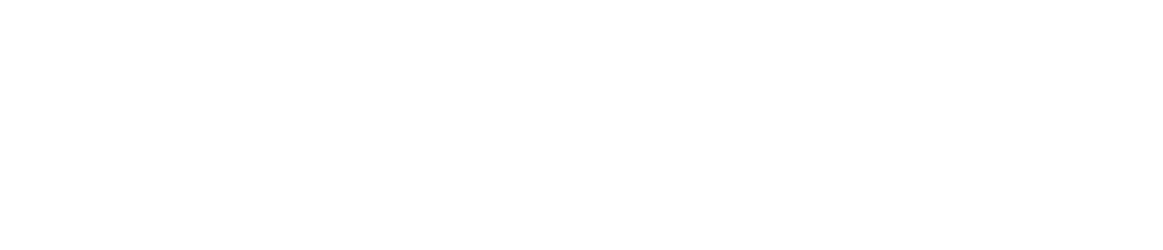 星の国から来た仲間