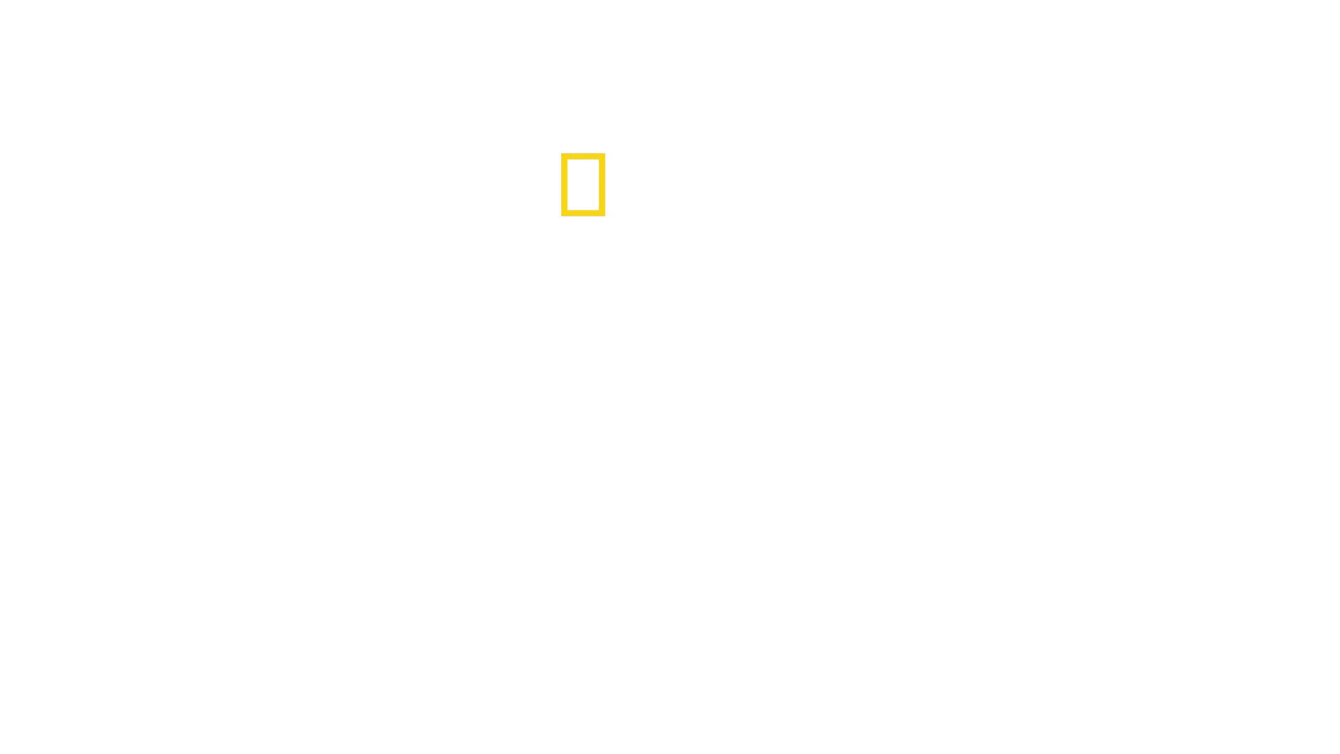 Holokaust v plné hrůze