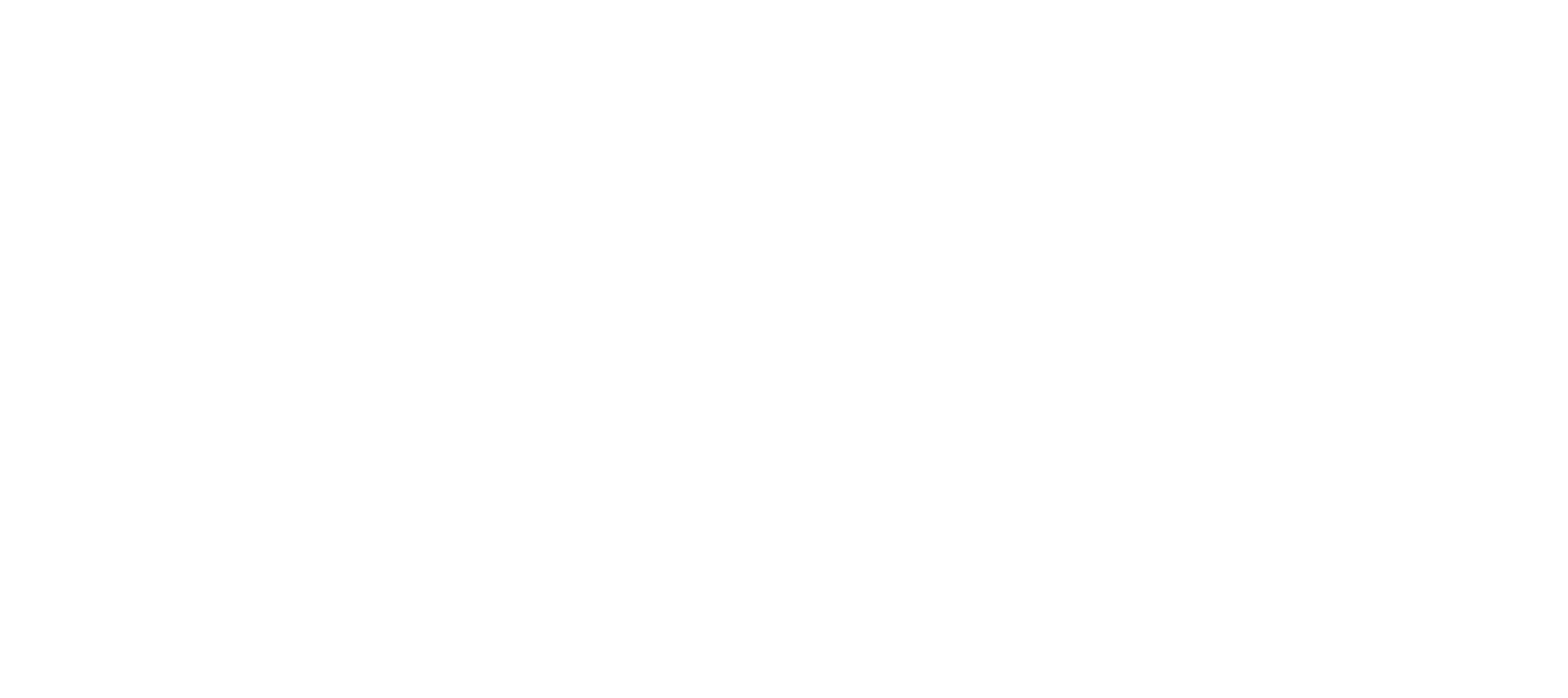 스노우폴