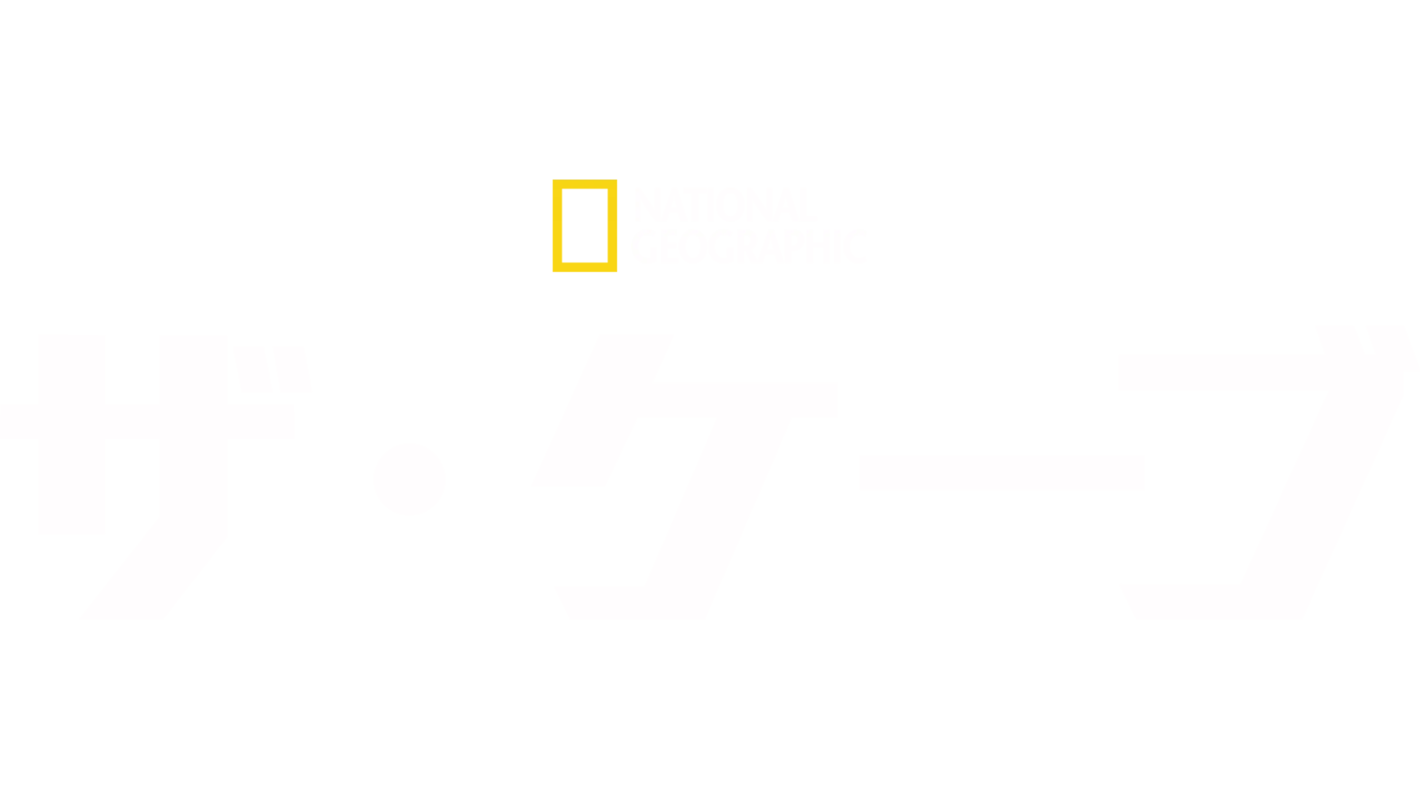 ザ・ケーブ