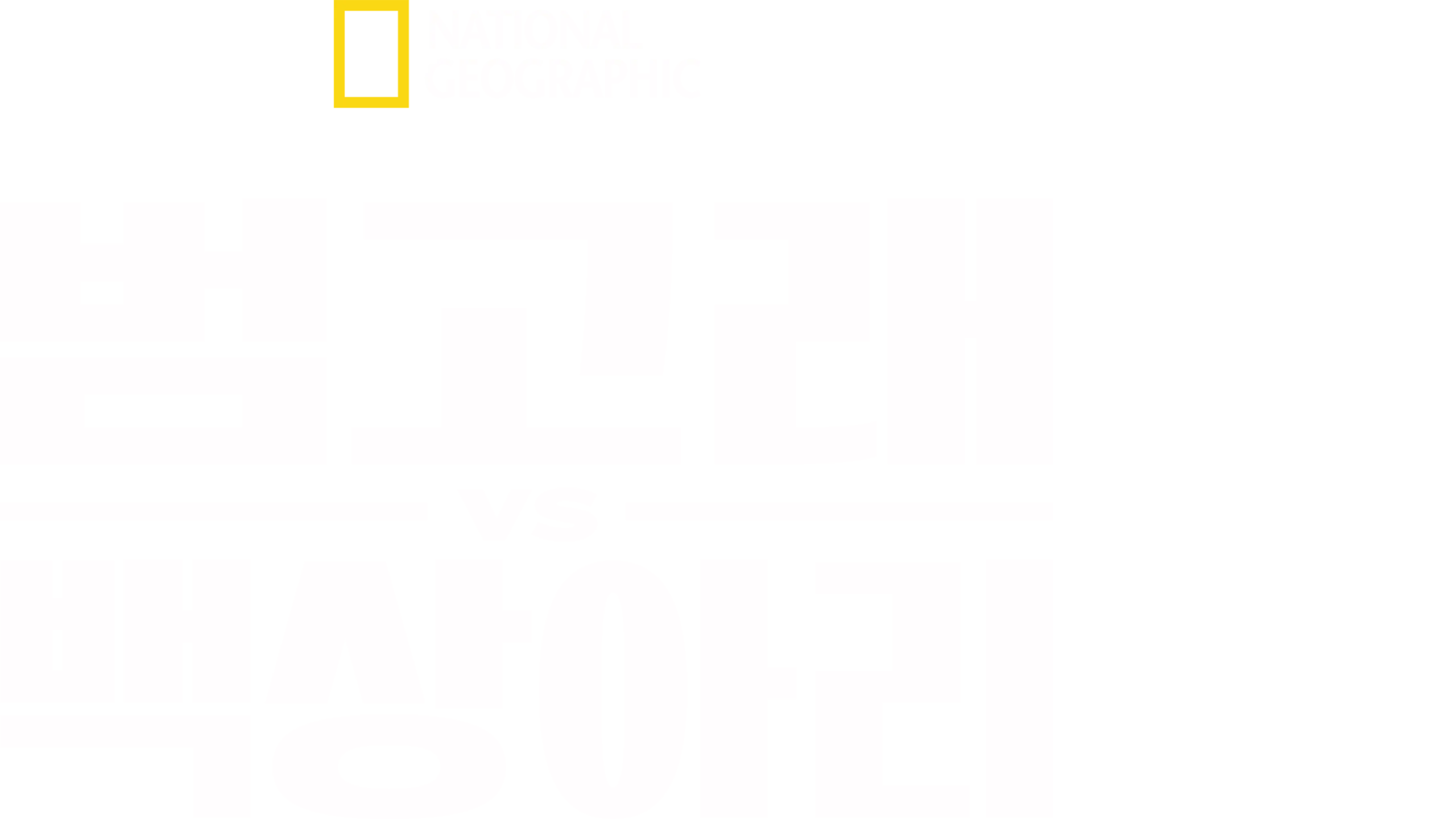 범고래 vs 백상아리