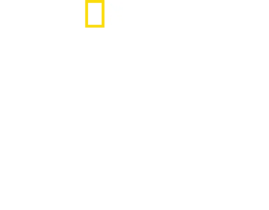 범고래 vs 백상아리