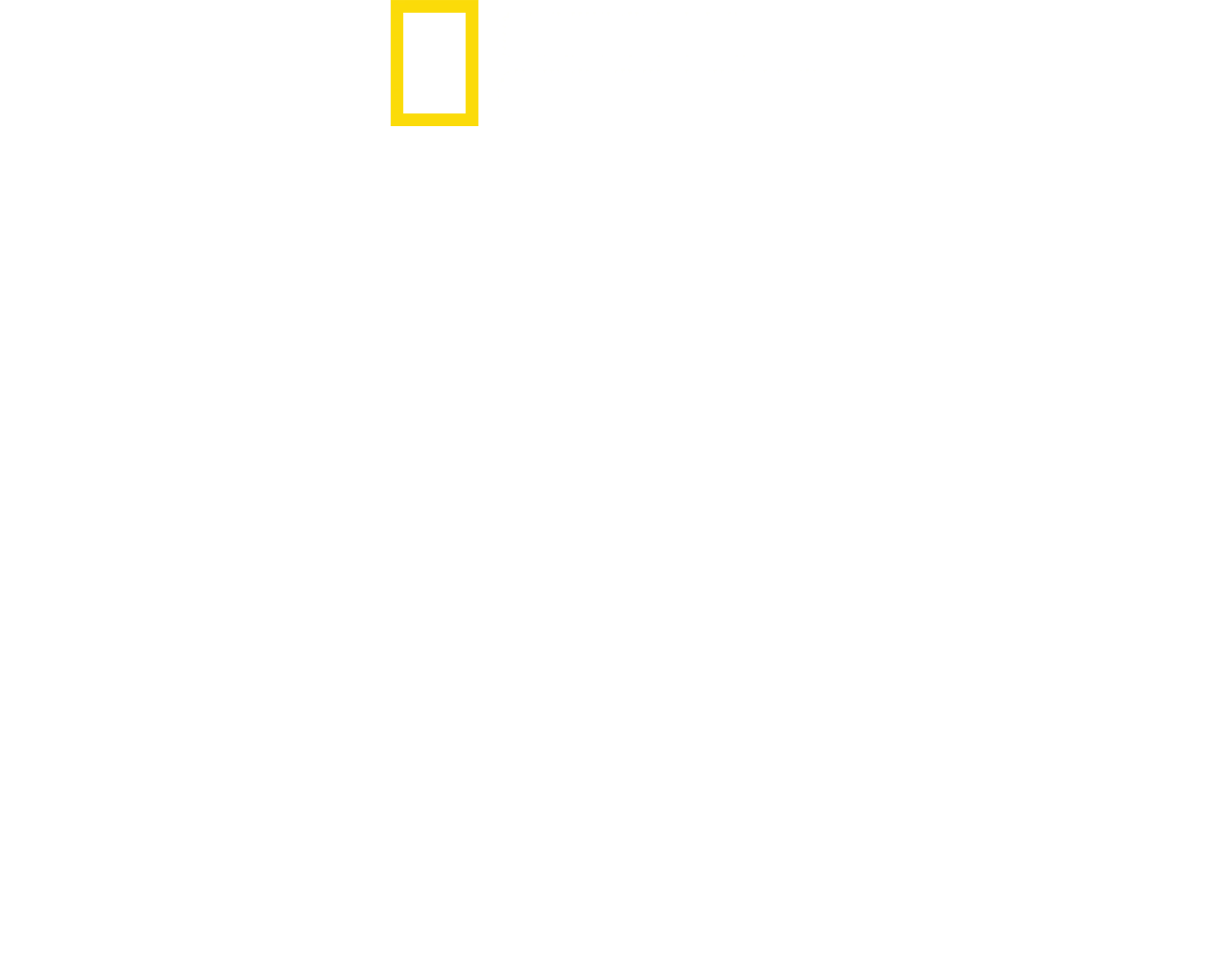 범고래 vs 백상아리