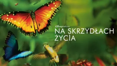 Na skrzydłach życia