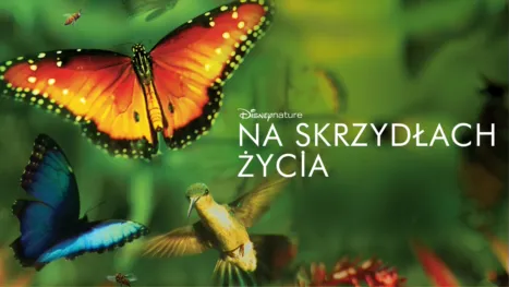 thumbnail - Na skrzydłach życia