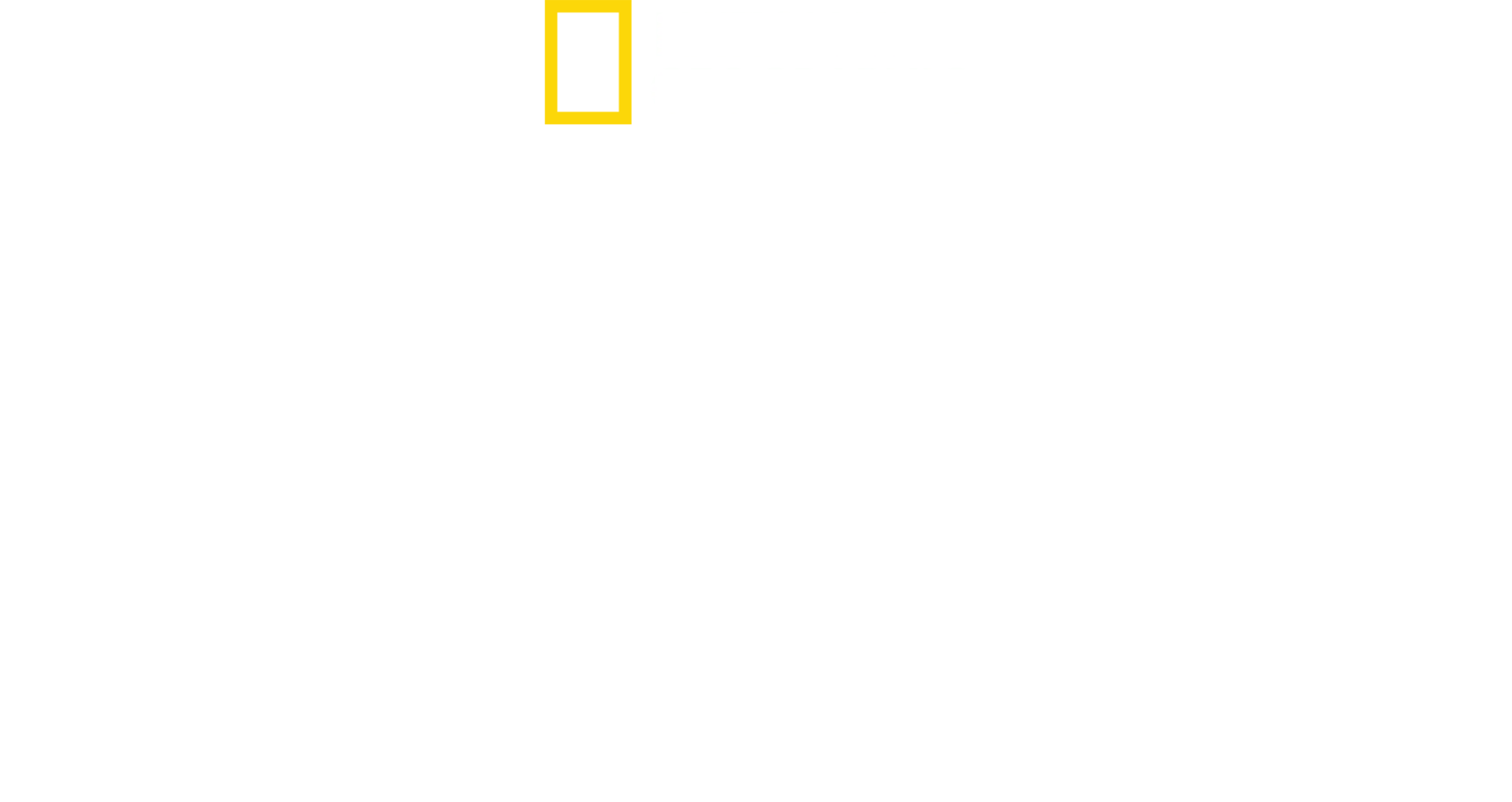 최강의 포식자, 백상아리