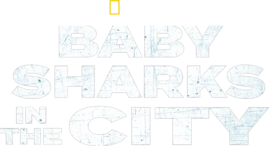 Baby Sharks in the City