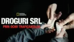 thumbnail - Droguri SRL: Prin ochii traficanților