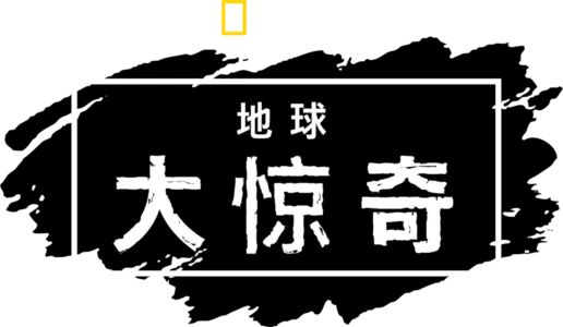 地球大惊奇