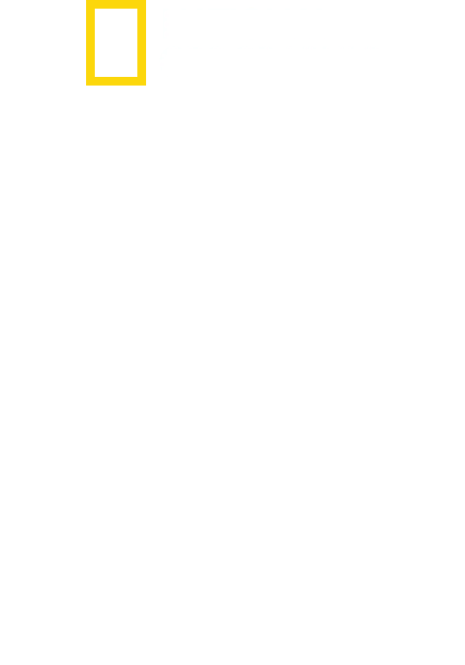 샤크 어택 파일